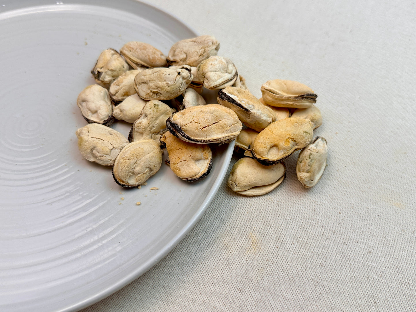 Freeze-Dried Blue-Lipped Mussel