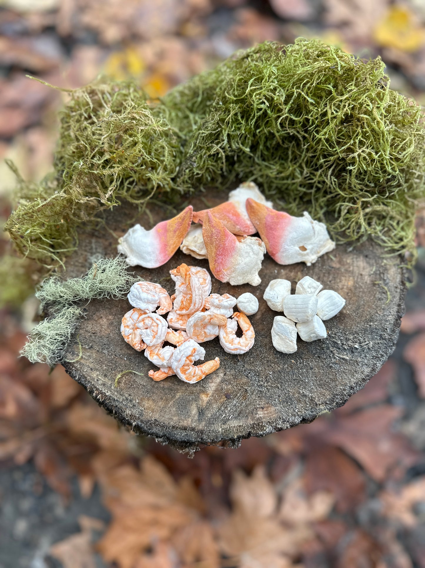 Freeze-Dried Seafood Medley