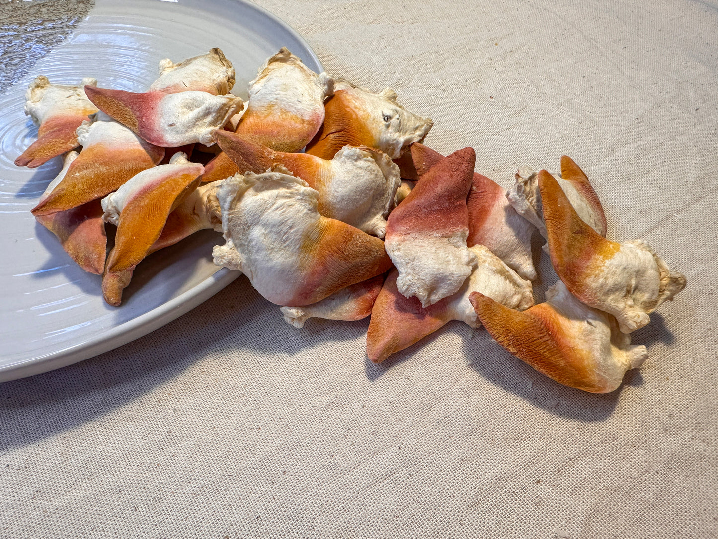 Freeze-Dried Surf Clam