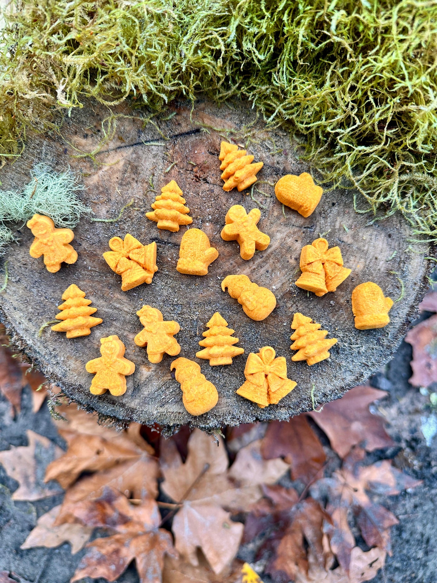 Freeze Dried Pumpkin