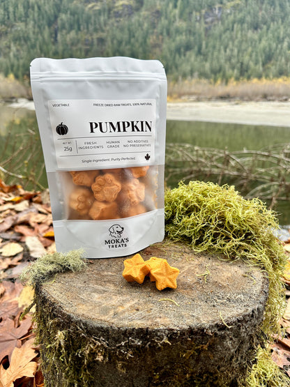 Freeze Dried Pumpkin