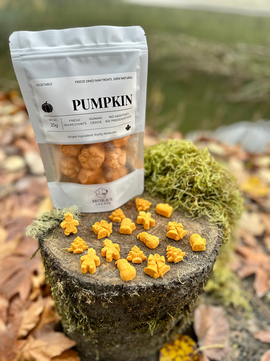 Freeze Dried Pumpkin
