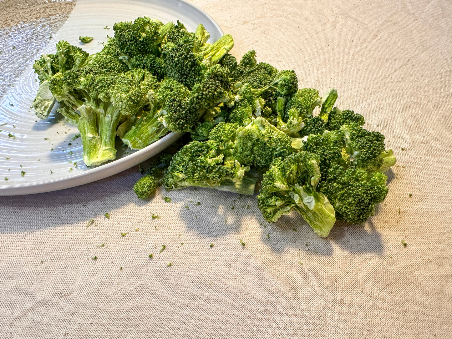 Freeze Dried Broccoli