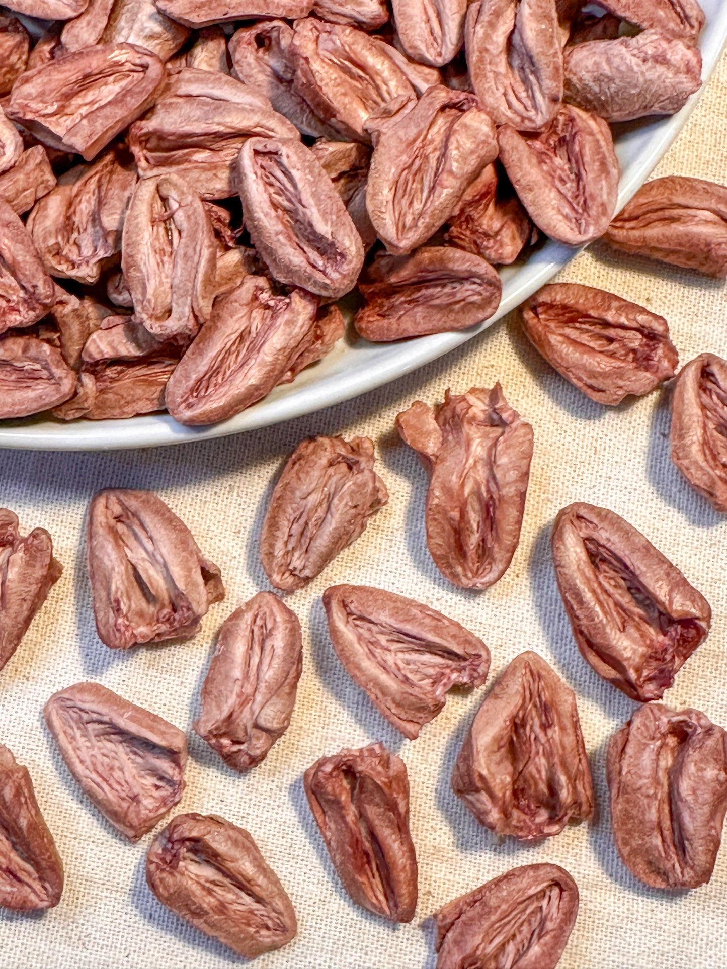 Freeze Dried Chicken Heart