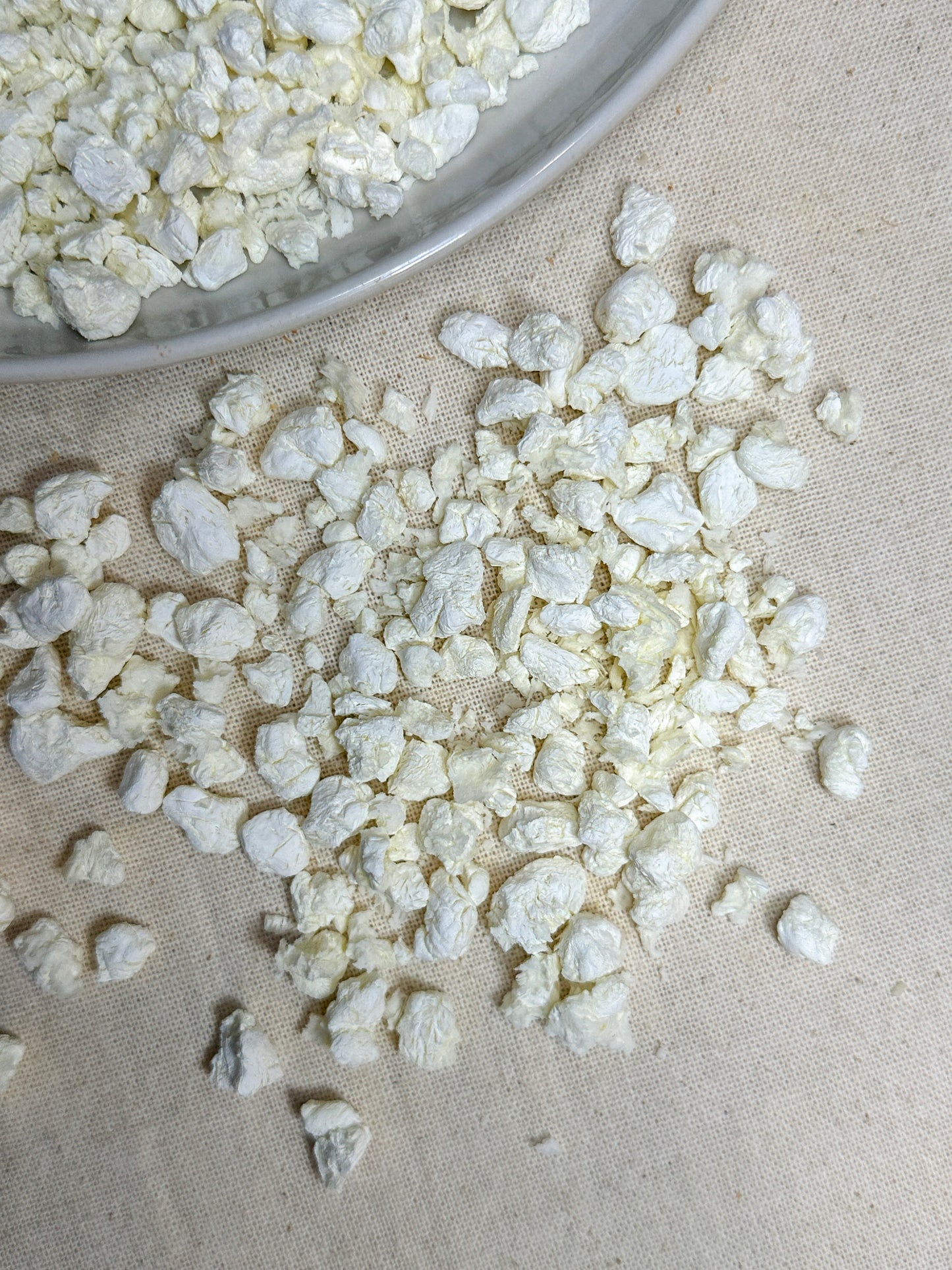 Freeze Dried Cottage Cheese