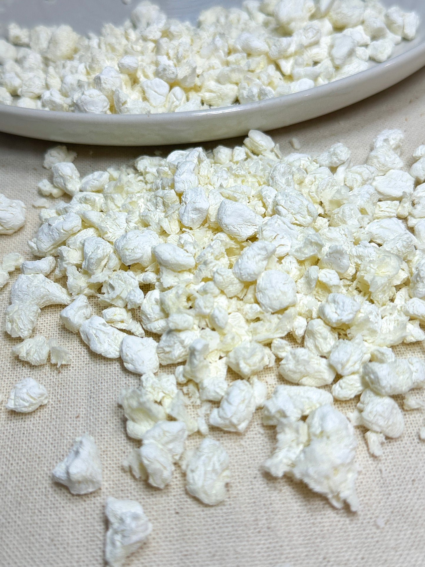 Freeze Dried Cottage Cheese