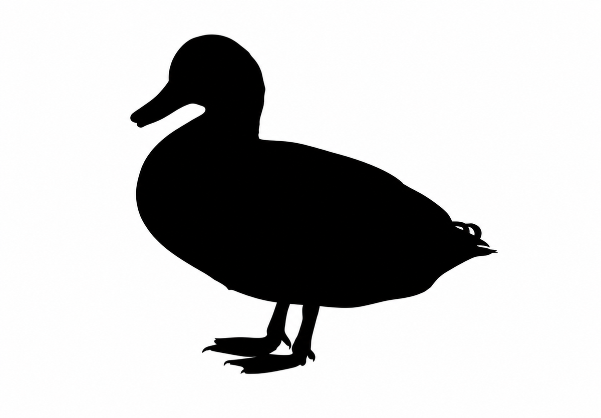 Freeze-Dried Duck Feet