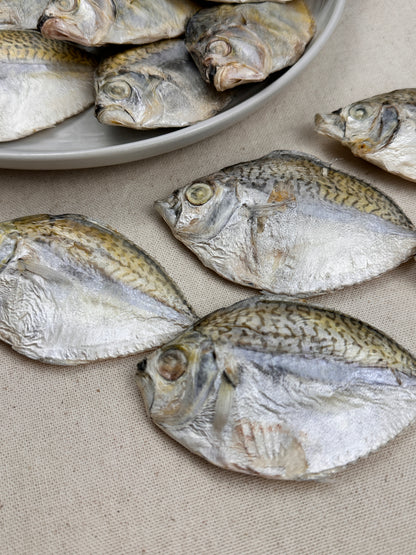 Top view of several whole freeze-dried ponyfish arranged on a white plate and beige linen surface, showing their silvery scales and natural markings.