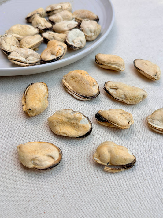 Freeze-Dried Blue-Lipped Mussel