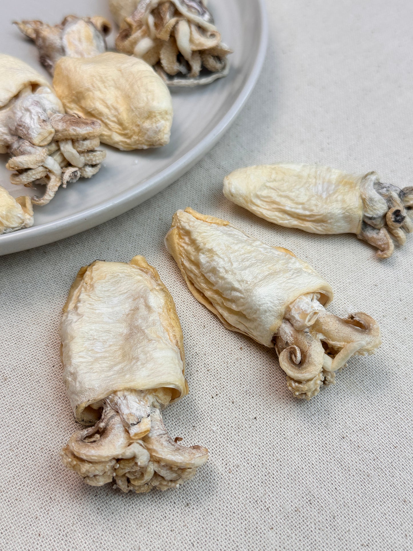Freeze-Dried Cuttlefish