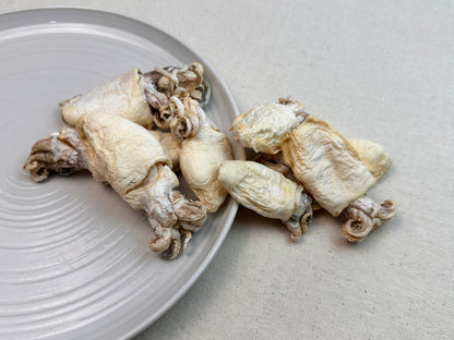 Freeze-Dried Cuttlefish