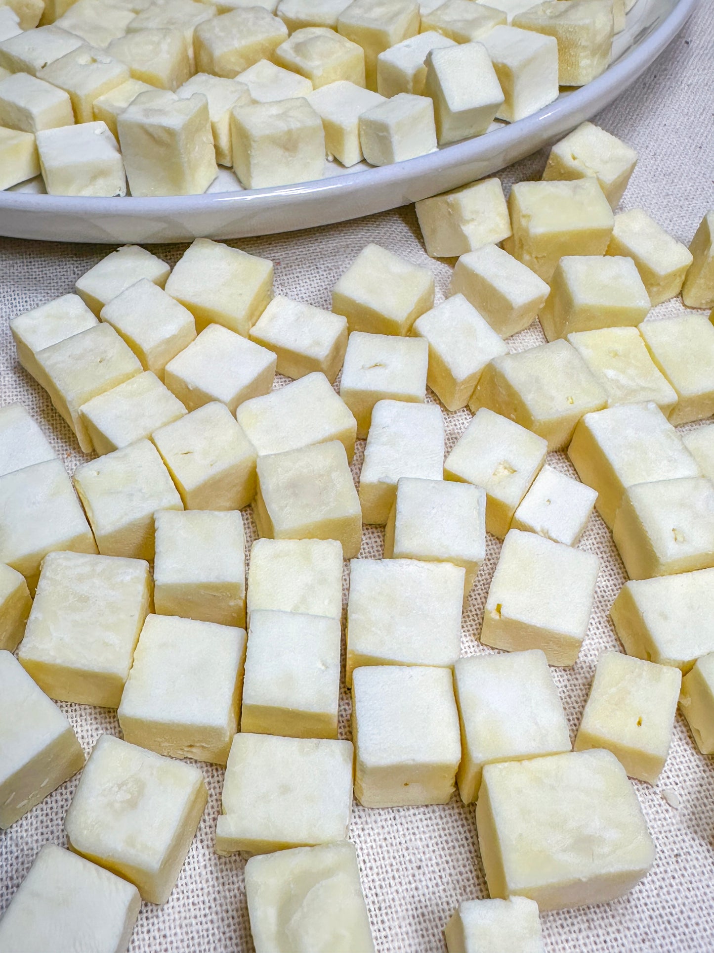 Freeze Dried Mozzarella Cheese