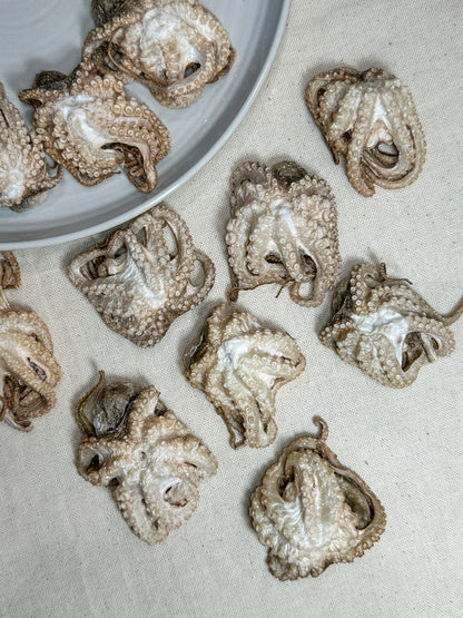Freeze Dried Baby Octopus