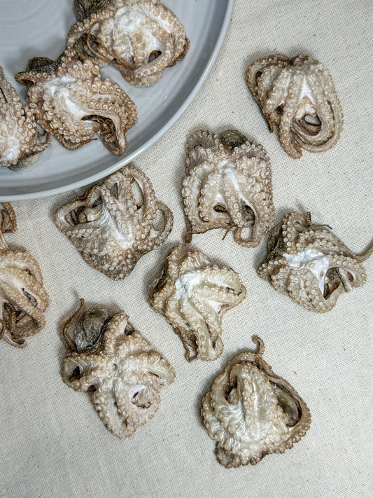 Freeze Dried Baby Octopus