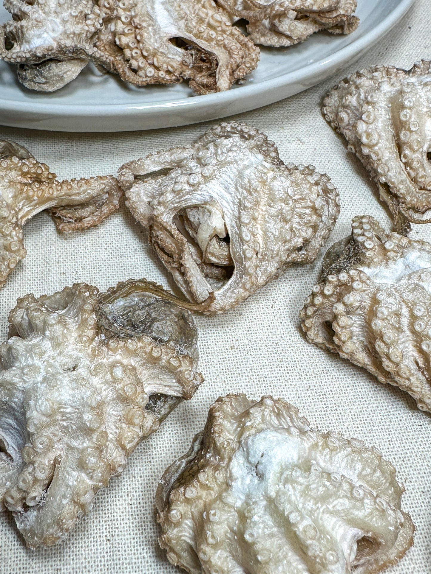 Freeze Dried Baby Octopus