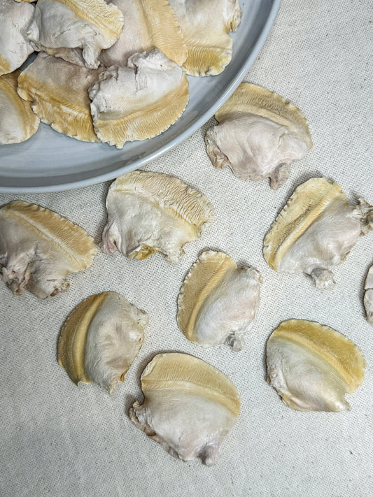 Freeze Dried Ocean Quahog Clam