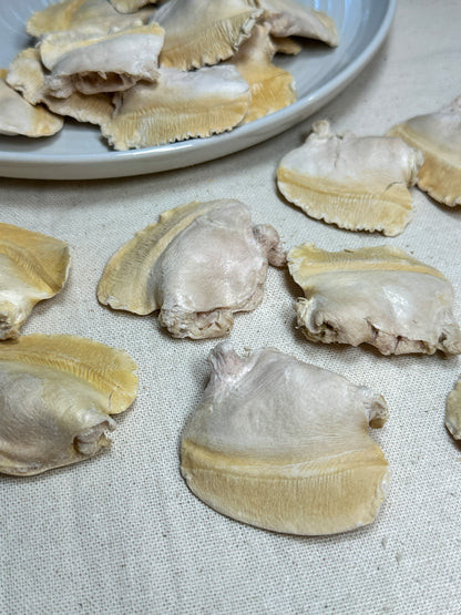 Freeze Dried Ocean Quahog Clam