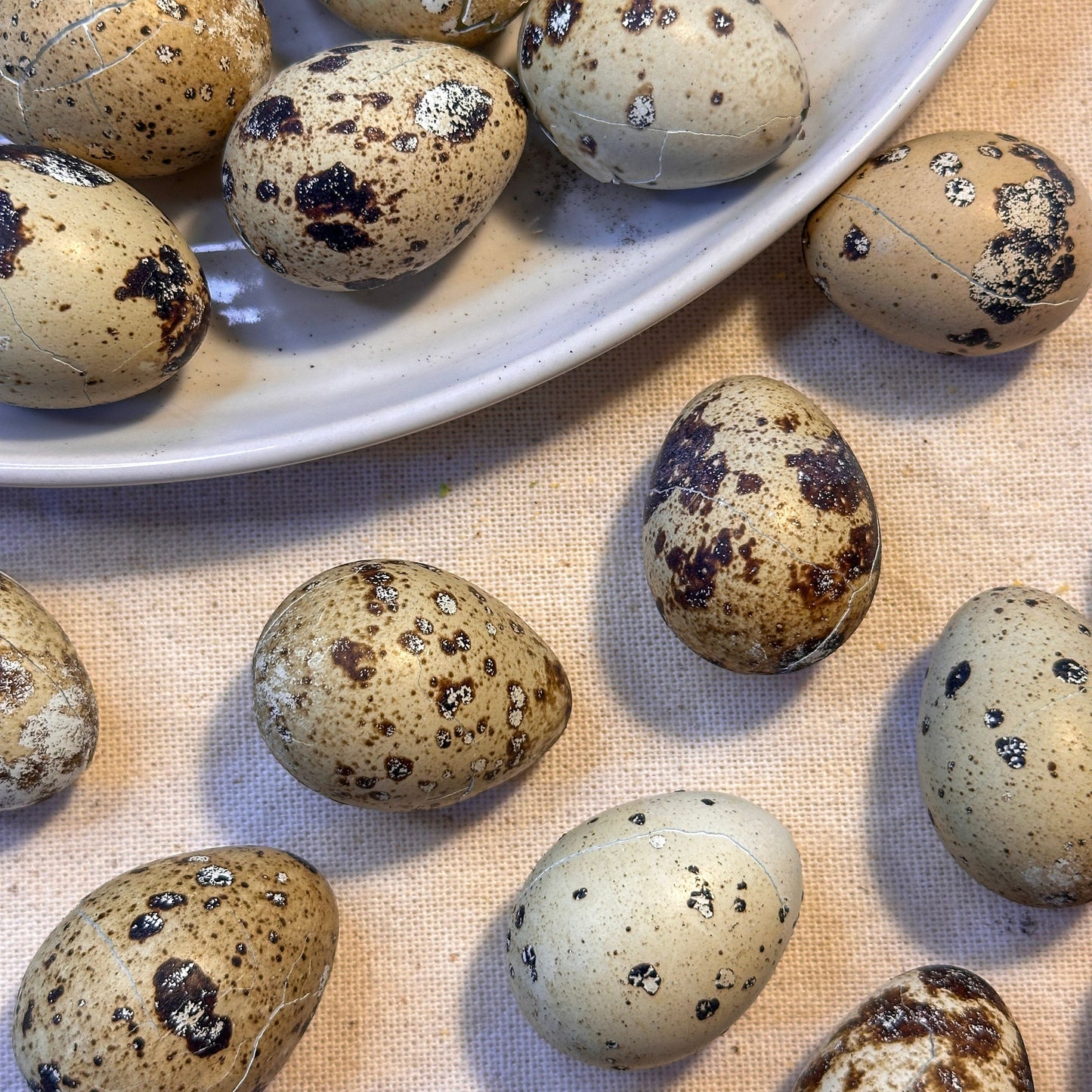 Freeze Dried Quail Eggs