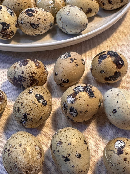 Freeze Dried Quail Eggs