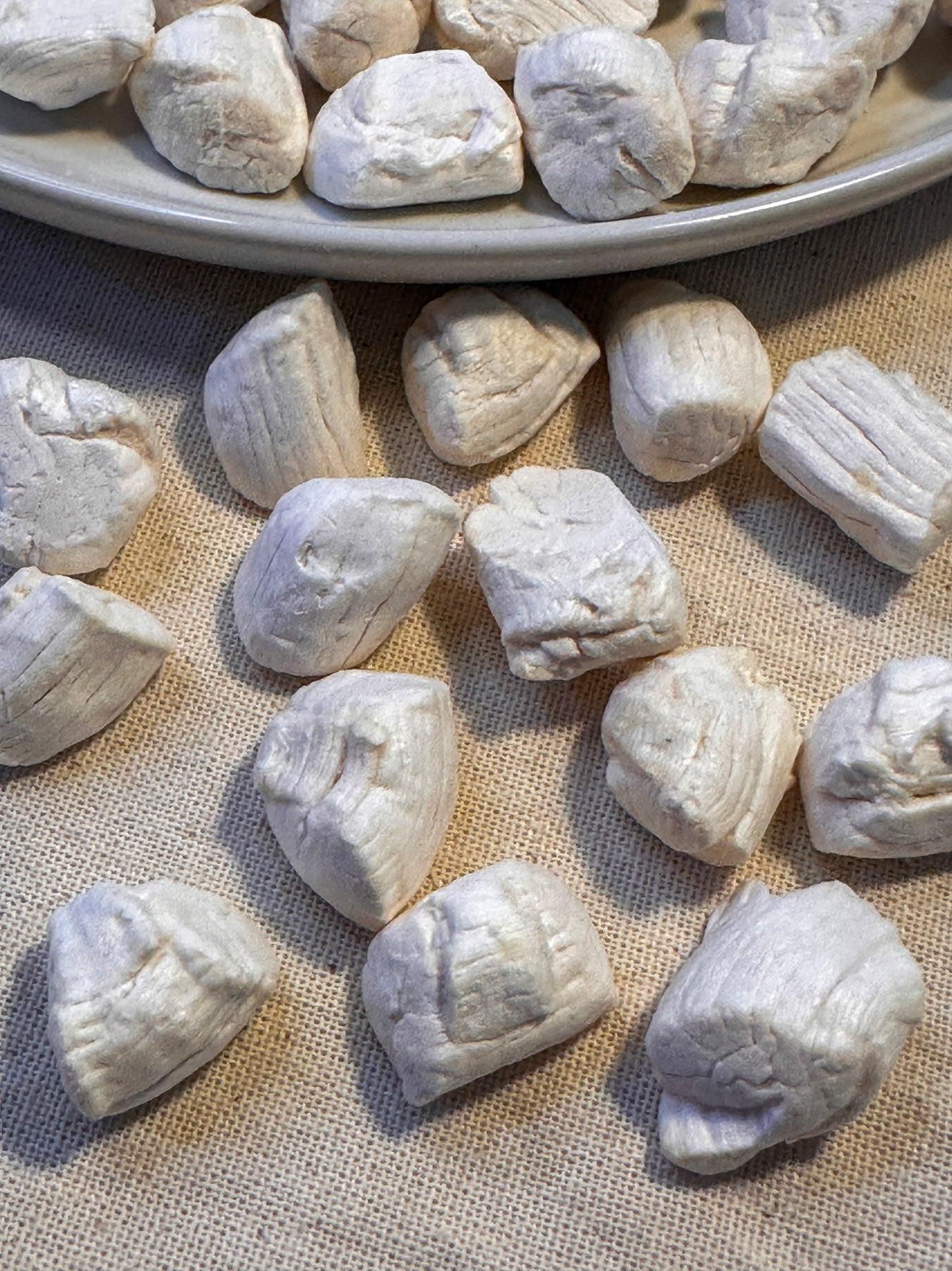 Freeze Dried Scallops