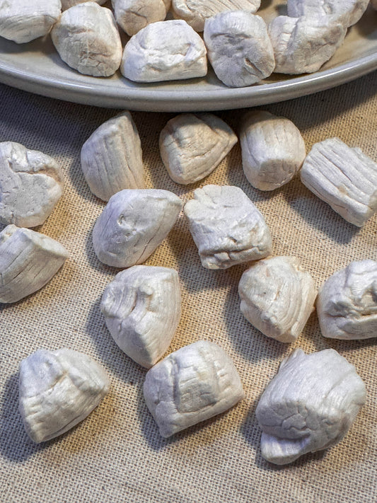 Freeze Dried Scallops