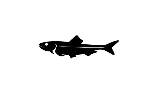 Freeze-Dried Anchovy