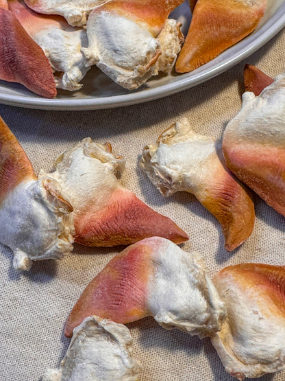 Freeze Dried Surf Clam