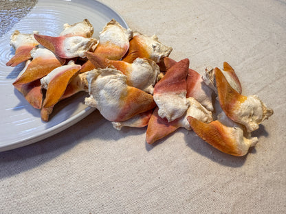 Freeze Dried Surf Clam